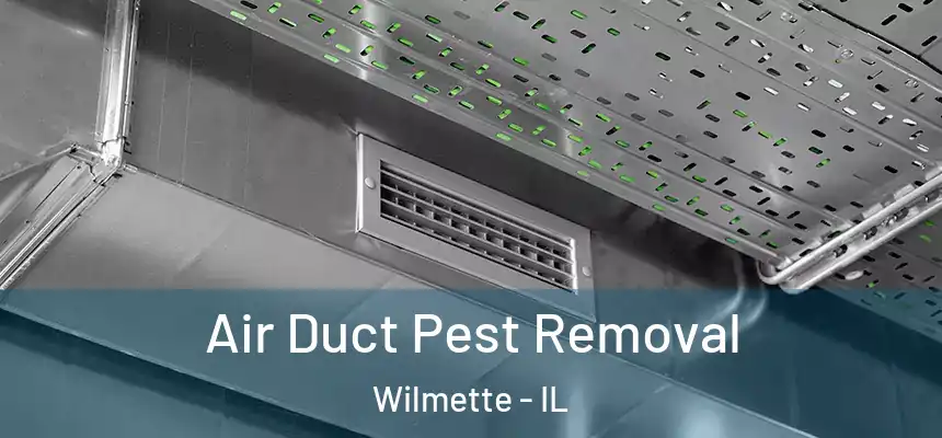 Air Duct Pest Removal Wilmette - IL
