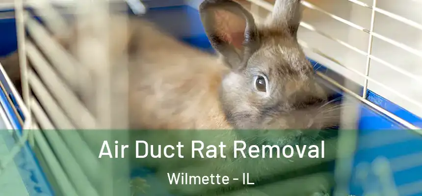 Air Duct Rat Removal Wilmette - IL