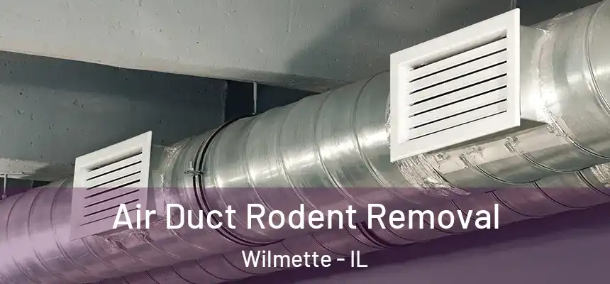 Air Duct Rodent Removal Wilmette - IL