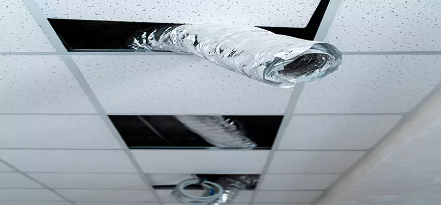 Our Air Duct Pet Hair Removal Services in Wilmette, IL