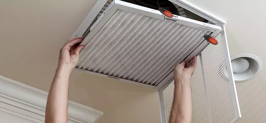Our Insect Removal from Air Ducts Services in Wilmette, IL