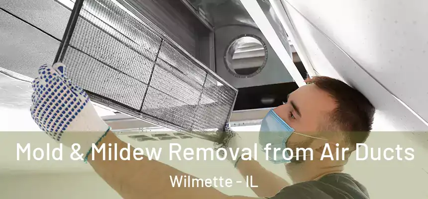 Mold & Mildew Removal from Air Ducts Wilmette - IL