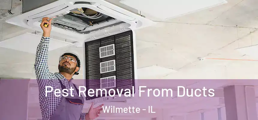 Pest Removal From Ducts Wilmette - IL