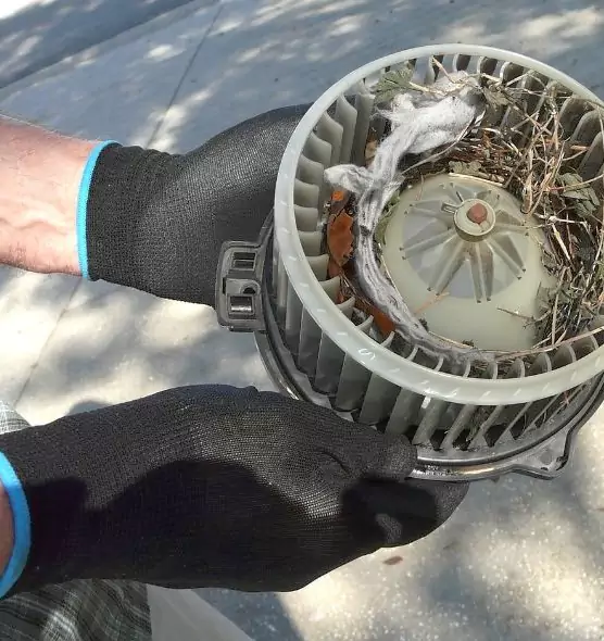 About Air Duct Rat Removal in Wilmette, IL