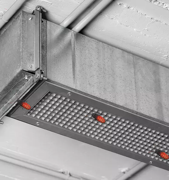 Affordable Insect Removal from Air Ducts in Wilmette, IL