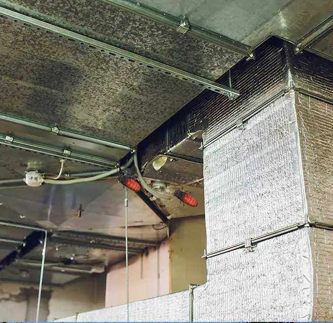 Why Homeowners & Businesses Trust Us in Wilmette, IL?