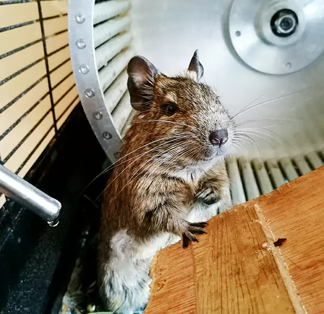 Why Homeowners & Businesses Trust Us Wilmette, IL?